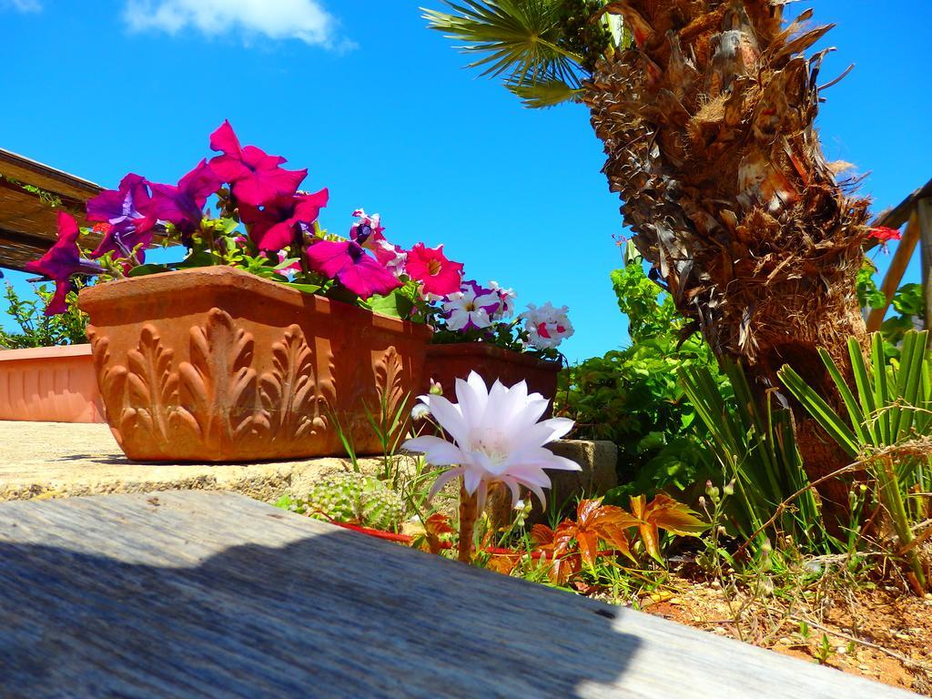 Baglio Cofano Rooms & Relax Custonaci Bagian luar foto